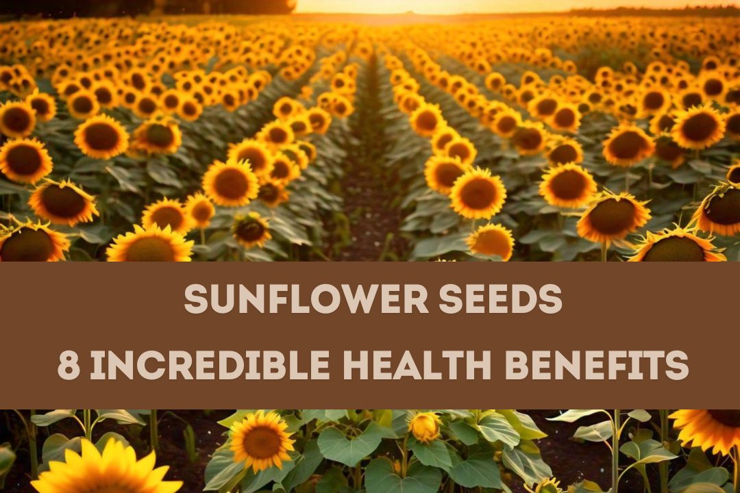 Sunflower Seeds - 8 Incredible Health Benefits and Recipes Online